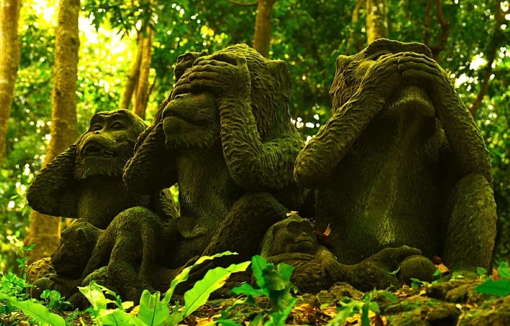 Ubud Monkey Forest in Bali Pictures